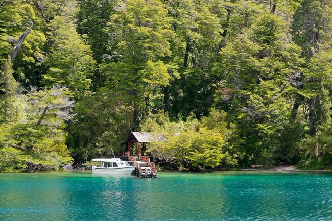 BOSQUE DE ALERCES MILENARIOS