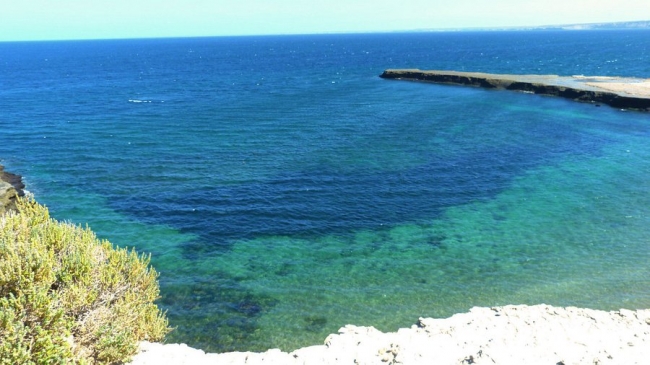 PENINSULA VALDES ADVENTURE