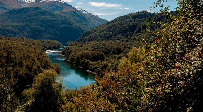 PARQUE NACIONAL LOS ALERCES FULL DAY