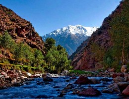 EXCURSIN AL VALLE DE OURIKA